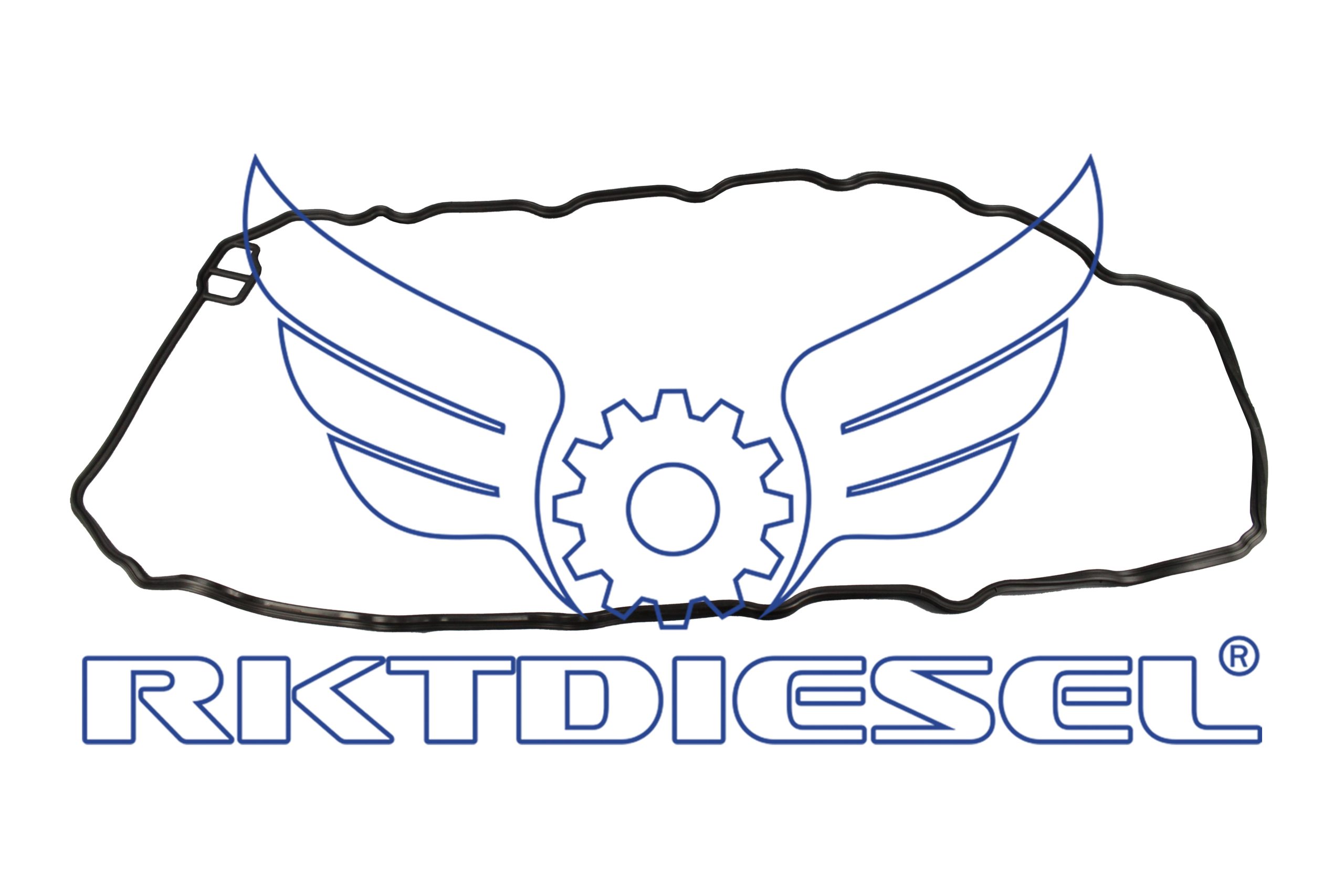 Junta Tampa de Válvula 20538793